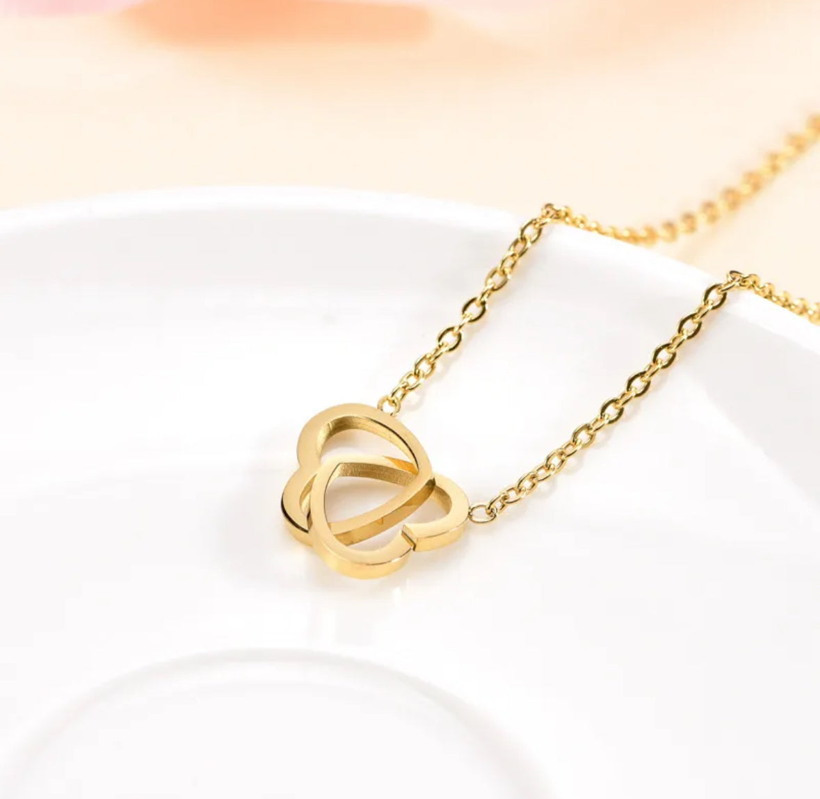 Revêtement Pvd Plaqué Or 18K Cœur Acier Inoxydable
304 Style Simple Résistant À L'eau Et Ne Ternit Pas
Acier Inoxydable 304 Collier